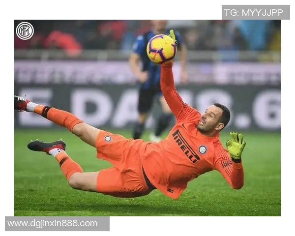 汉达诺维奇重回球场，斩获冠军头衔：不老门神的传奇再续