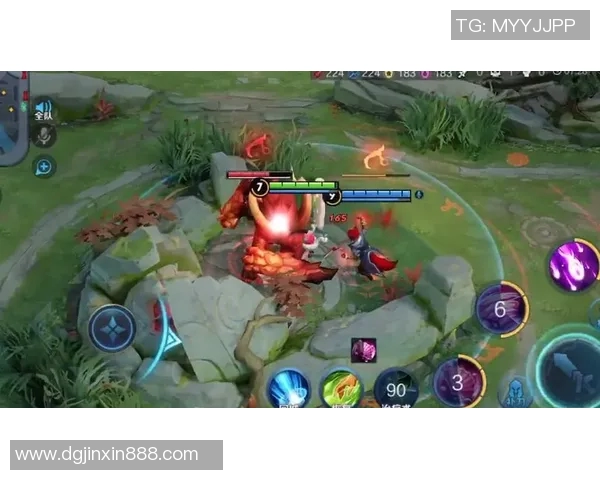 王者荣耀专题分析:深入探讨LNG战队的游戏节奏与战略布局 王者荣耀专题分析:深入探讨LNG战队的游戏节奏与战略布局