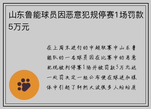 山东鲁能球员因恶意犯规停赛1场罚款5万元